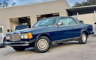 Mercedes-Benz-300-Series-Coupe-1984-Blue-Tan-183922-5