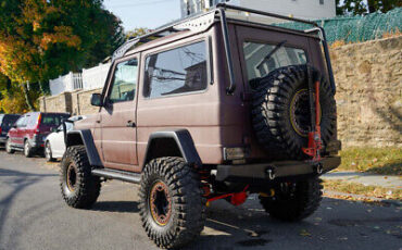 Mercedes-Benz-300-Series-SUV-1985-Brown-Black-74249-5