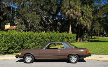 Mercedes-Benz-400-Series-1976-Brown-Brown-90596-1