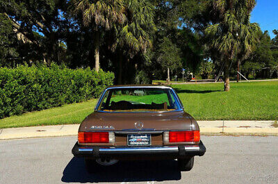 Mercedes-Benz-400-Series-1976-Brown-Brown-90596-10