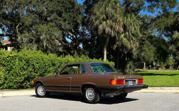 Mercedes-Benz-400-Series-1976-Brown-Brown-90596-11