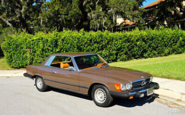 Mercedes-Benz-400-Series-1976-Brown-Brown-90596-5