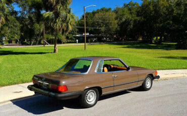 Mercedes-Benz-400-Series-1976-Brown-Brown-90596-6