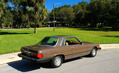 Mercedes-Benz-400-Series-1976-Brown-Brown-90596-6