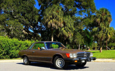 Mercedes-Benz-400-Series-1976-Brown-Brown-90596-8