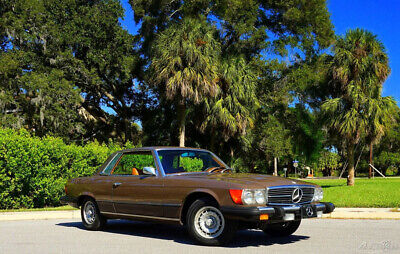 Mercedes-Benz-400-Series-1976-Brown-Brown-90596-8