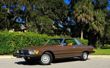 Mercedes-Benz-400-Series-1976-Brown-Brown-90596-9