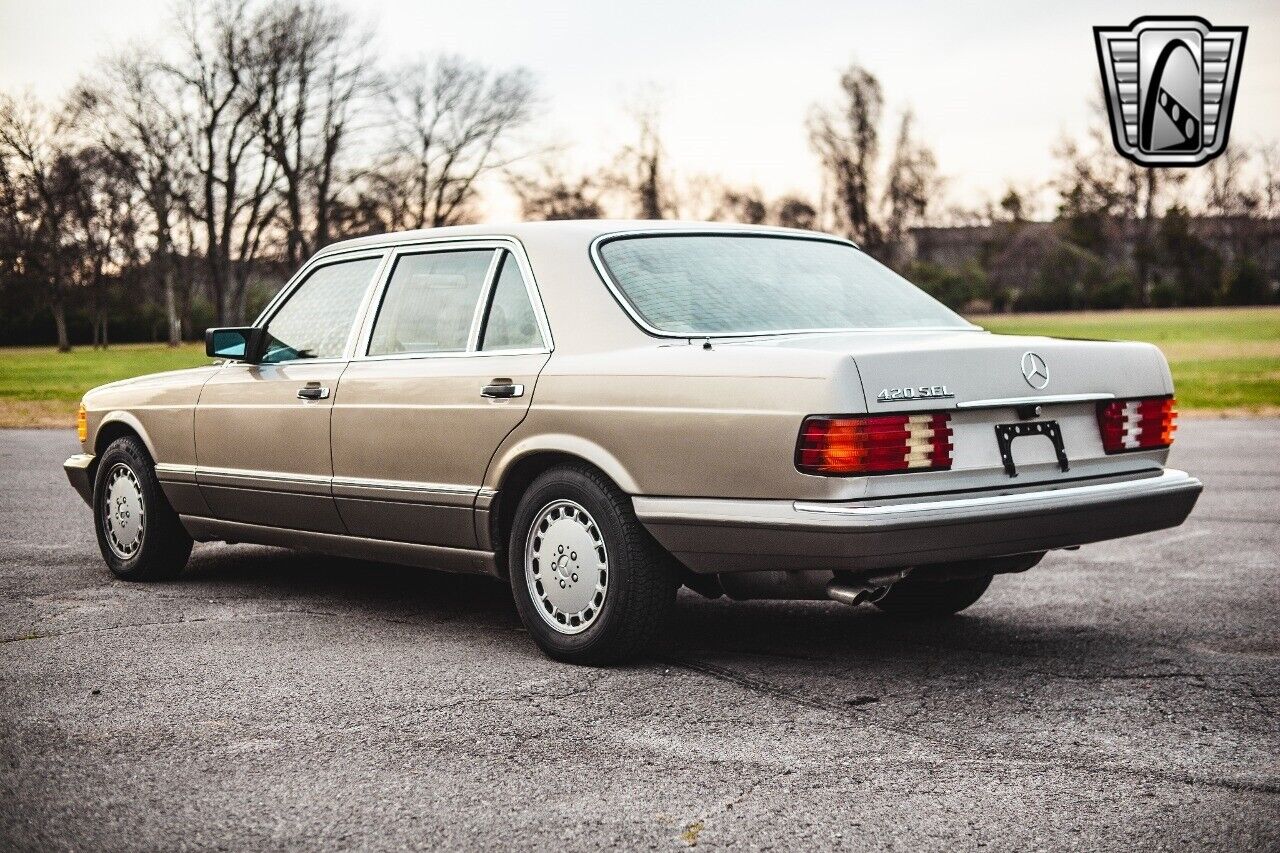 Mercedes-Benz-400-Series-1987-Silver-Tan-75850-5