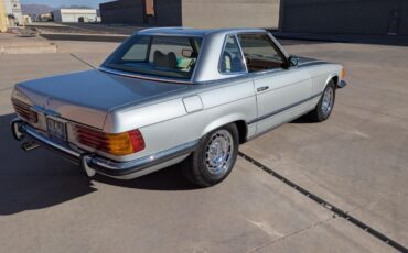 Mercedes-Benz-450-SL-1973-Silver-Tan-231746-2