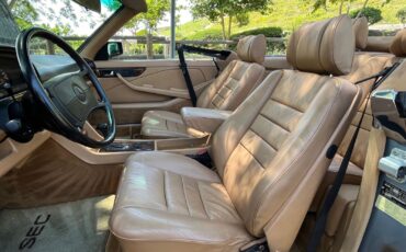 Mercedes-Benz-500-Series-1986-Blue-Tan-49463-25