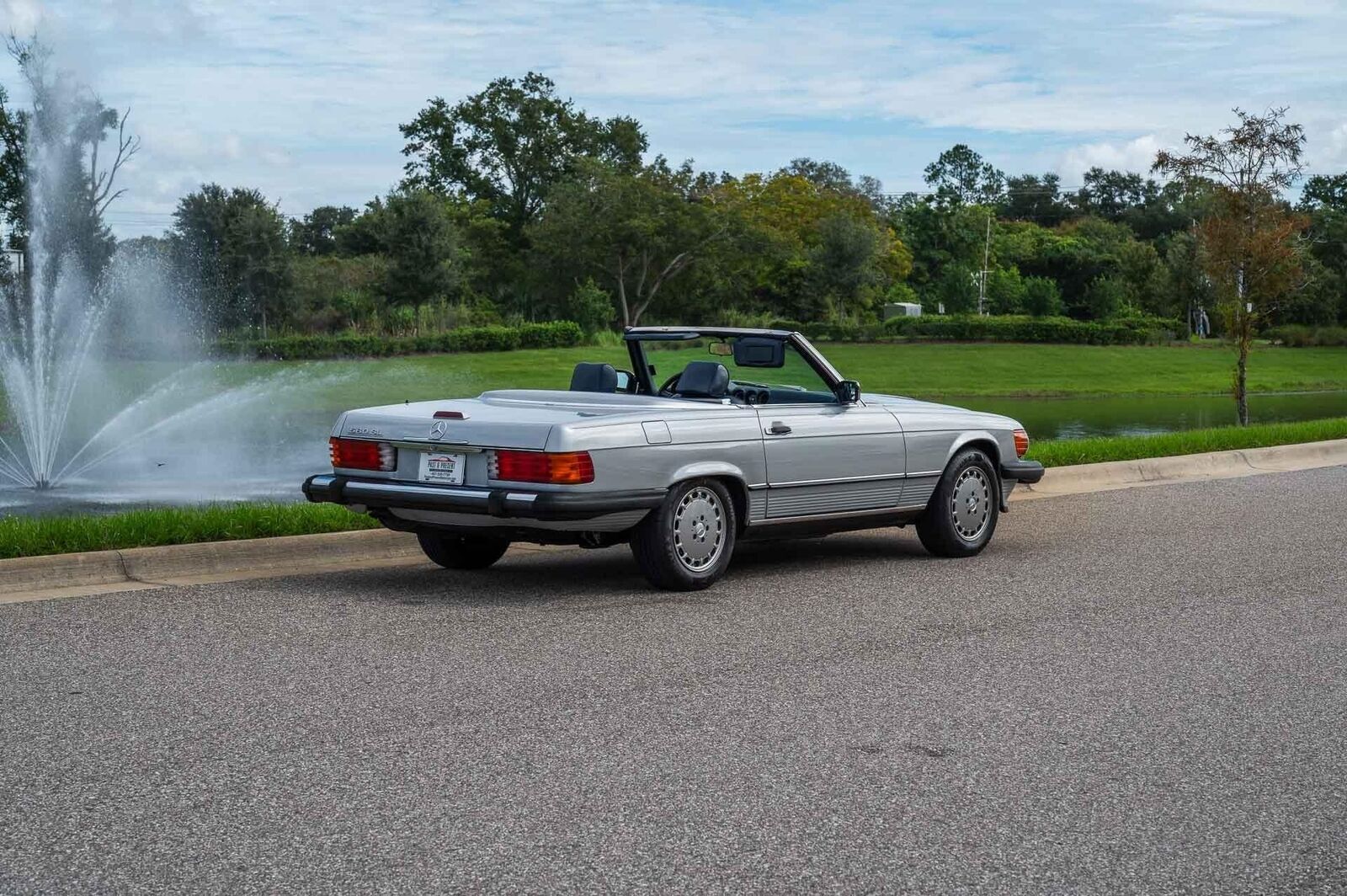 Mercedes-Benz-500-Series-1989-Silver-Blue-201578-5