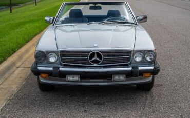 Mercedes-Benz-500-Series-1989-Silver-Blue-201578-9