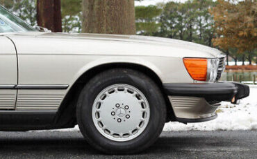 Mercedes-Benz-500-Series-Cabriolet-1987-Gray-Brown-30621-10