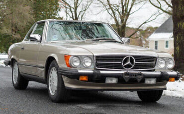 Mercedes-Benz-500-Series-Cabriolet-1987-Gray-Brown-30621-11