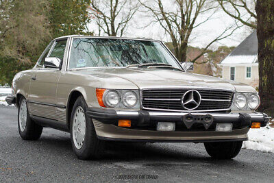 Mercedes-Benz-500-Series-Cabriolet-1987-Gray-Brown-30621-11