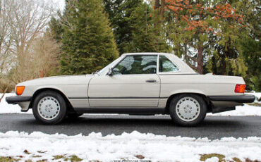 Mercedes-Benz-500-Series-Cabriolet-1987-Gray-Brown-30621-2