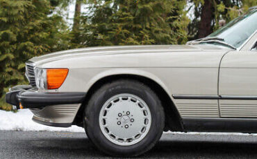 Mercedes-Benz-500-Series-Cabriolet-1987-Gray-Brown-30621-3