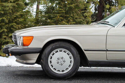 Mercedes-Benz-500-Series-Cabriolet-1987-Gray-Brown-30621-3