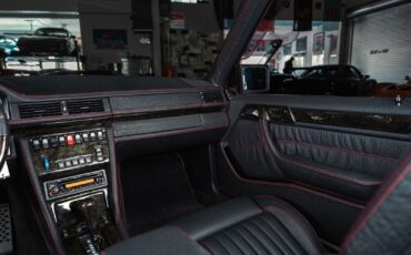 Mercedes-Benz-500E-1992-Autofashion-Bortnite-Custom-Buffalo-Hide-100970-35