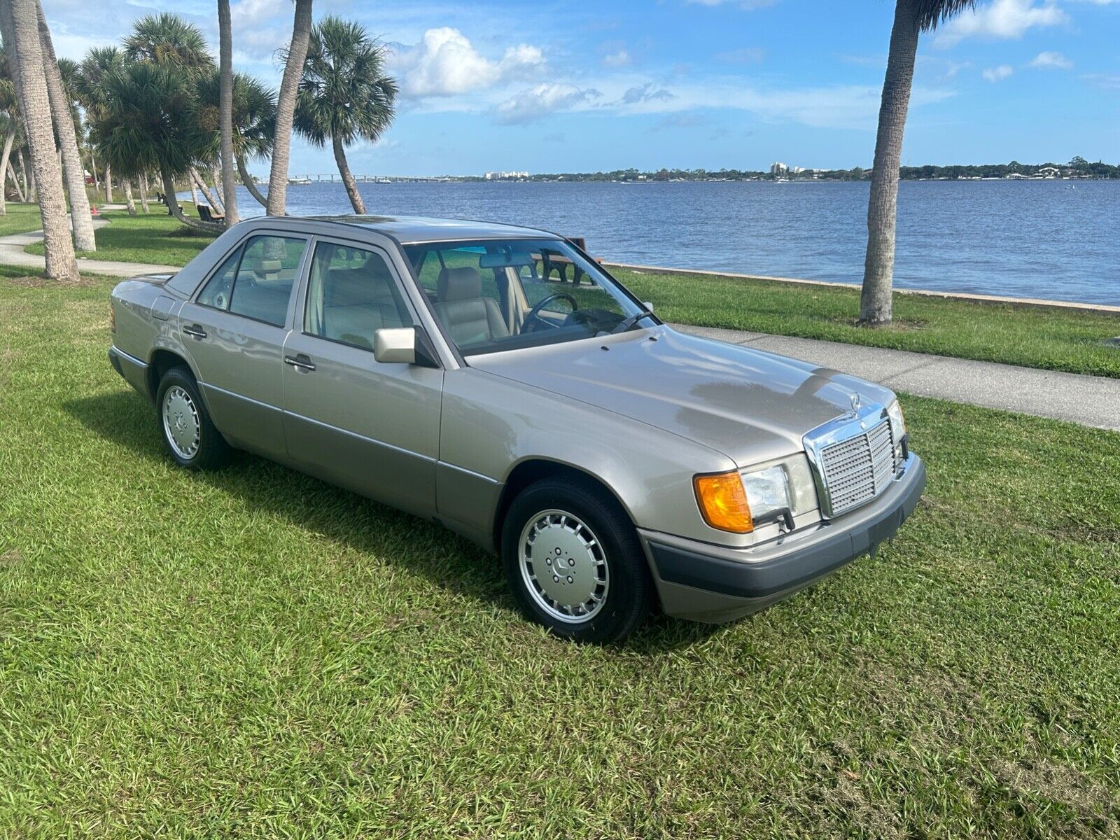 Mercedes-Benz-E-Class-Berline-1991-Tan-Tan-190987-3