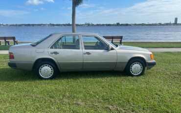 Mercedes-Benz-E-Class-Berline-1991-Tan-Tan-190987-4