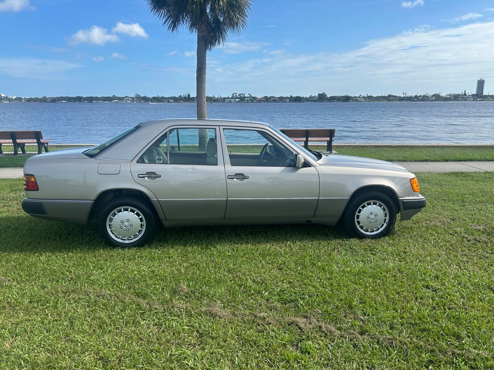 Mercedes-Benz-E-Class-Berline-1991-Tan-Tan-190987-4