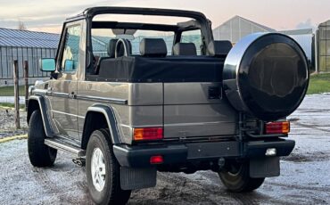 Mercedes-Benz-G-Class-Cabriolet-1991-Gray-Black-253594-2