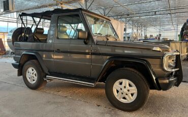 Mercedes-Benz-G-Class-Cabriolet-1991-Gray-Black-253594-23