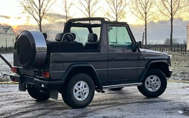 Mercedes-Benz-G-Class-Cabriolet-1991-Gray-Black-253594-4