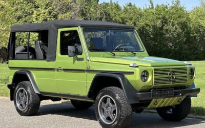 Mercedes-Benz G-Class Cabriolet 1994 à vendre