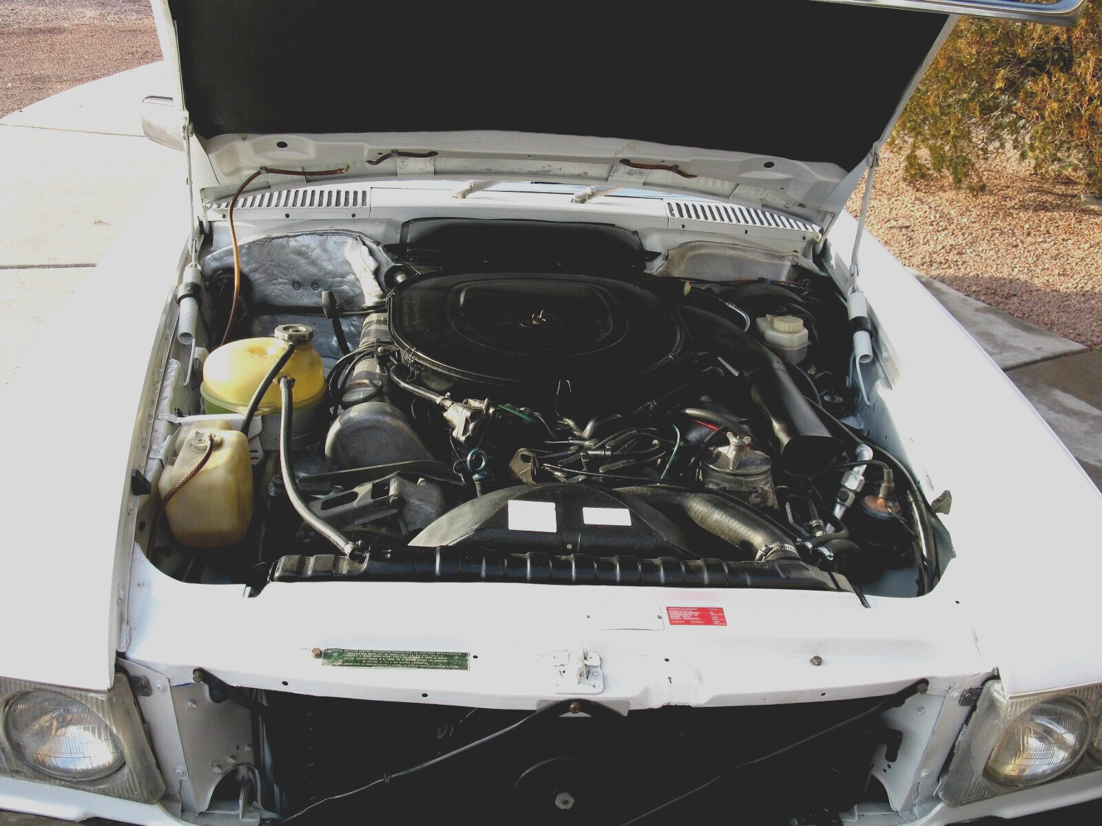 Mercedes-Benz-SL-Class-1976-CLASSIC-WHITE-RARE-PARCHMENT-ORIGINAL-94122-1