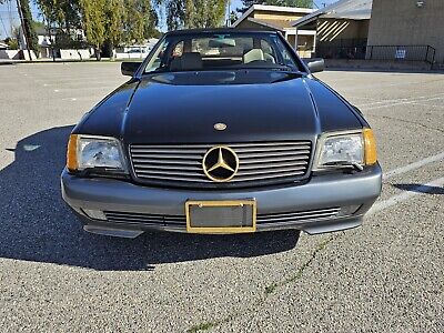 Mercedes-Benz-SL-Class-1992-Grey-111045-25