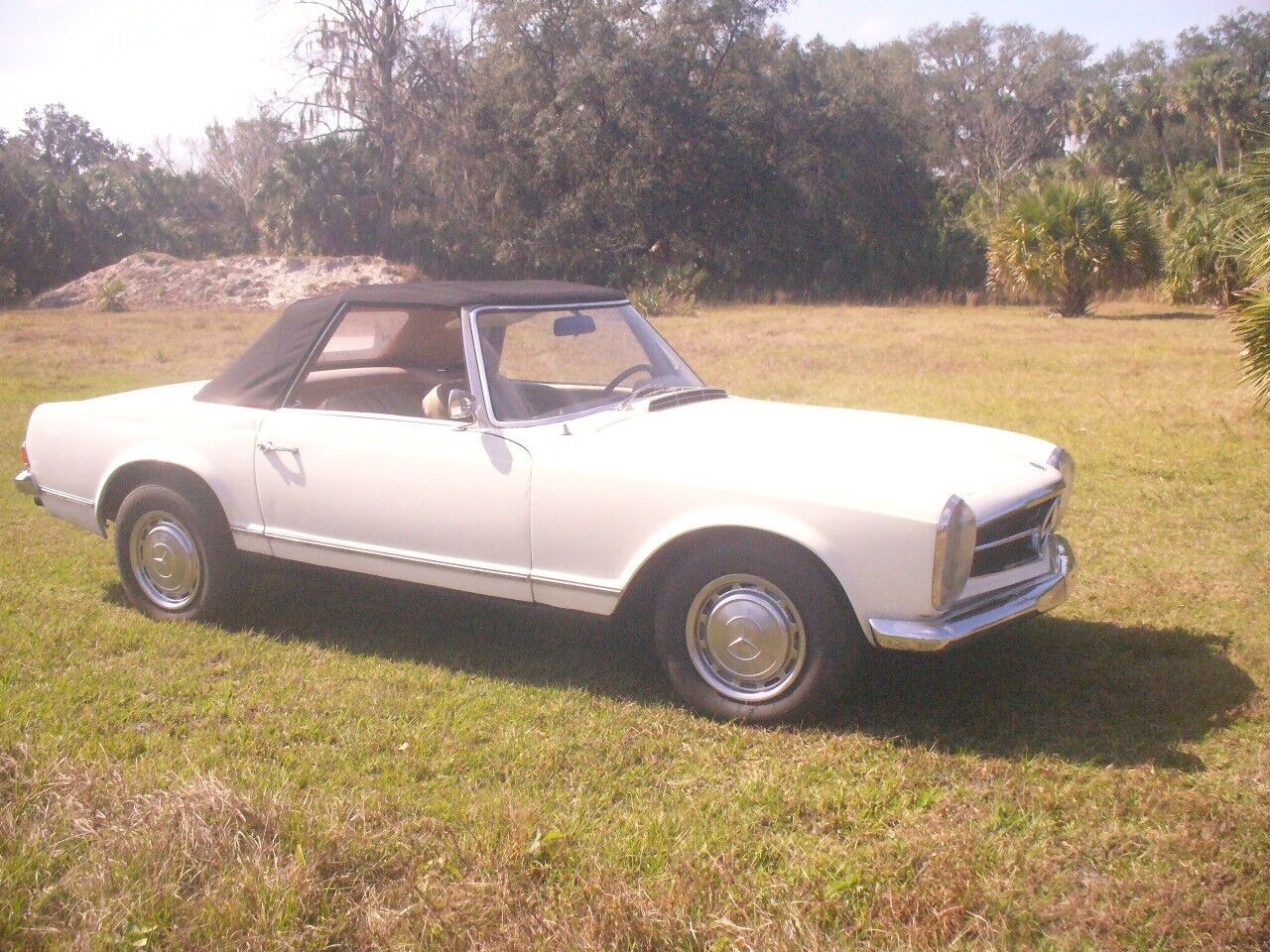 Mercedes-Benz-SL-Class-Cabriolet-1965-16153-1