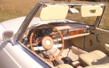 Mercedes-Benz-SL-Class-Cabriolet-1965-16153-12