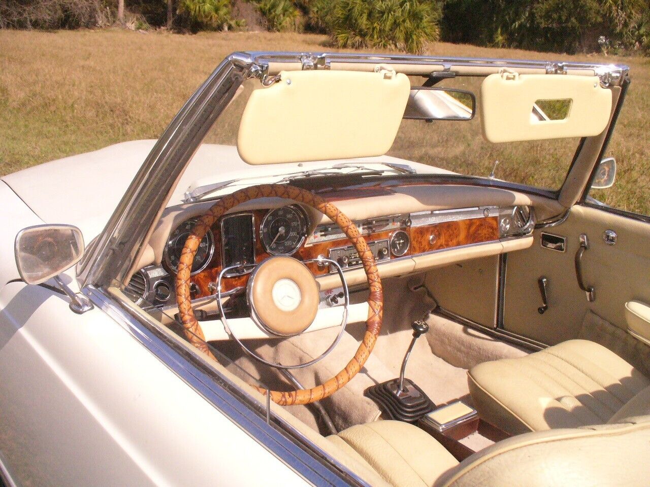 Mercedes-Benz-SL-Class-Cabriolet-1965-16153-12