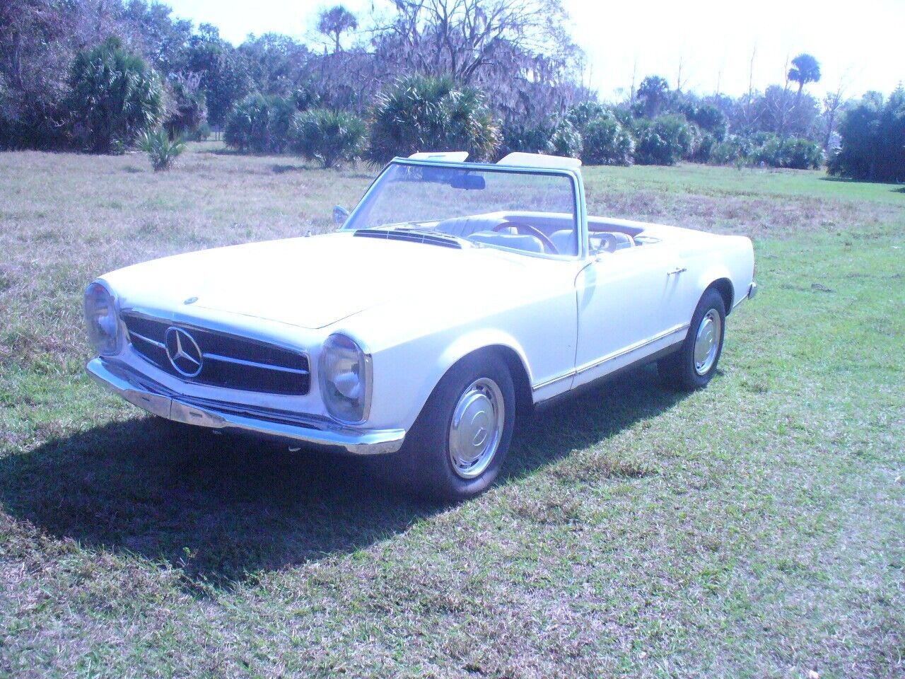 Mercedes-Benz-SL-Class-Cabriolet-1965-16153-13