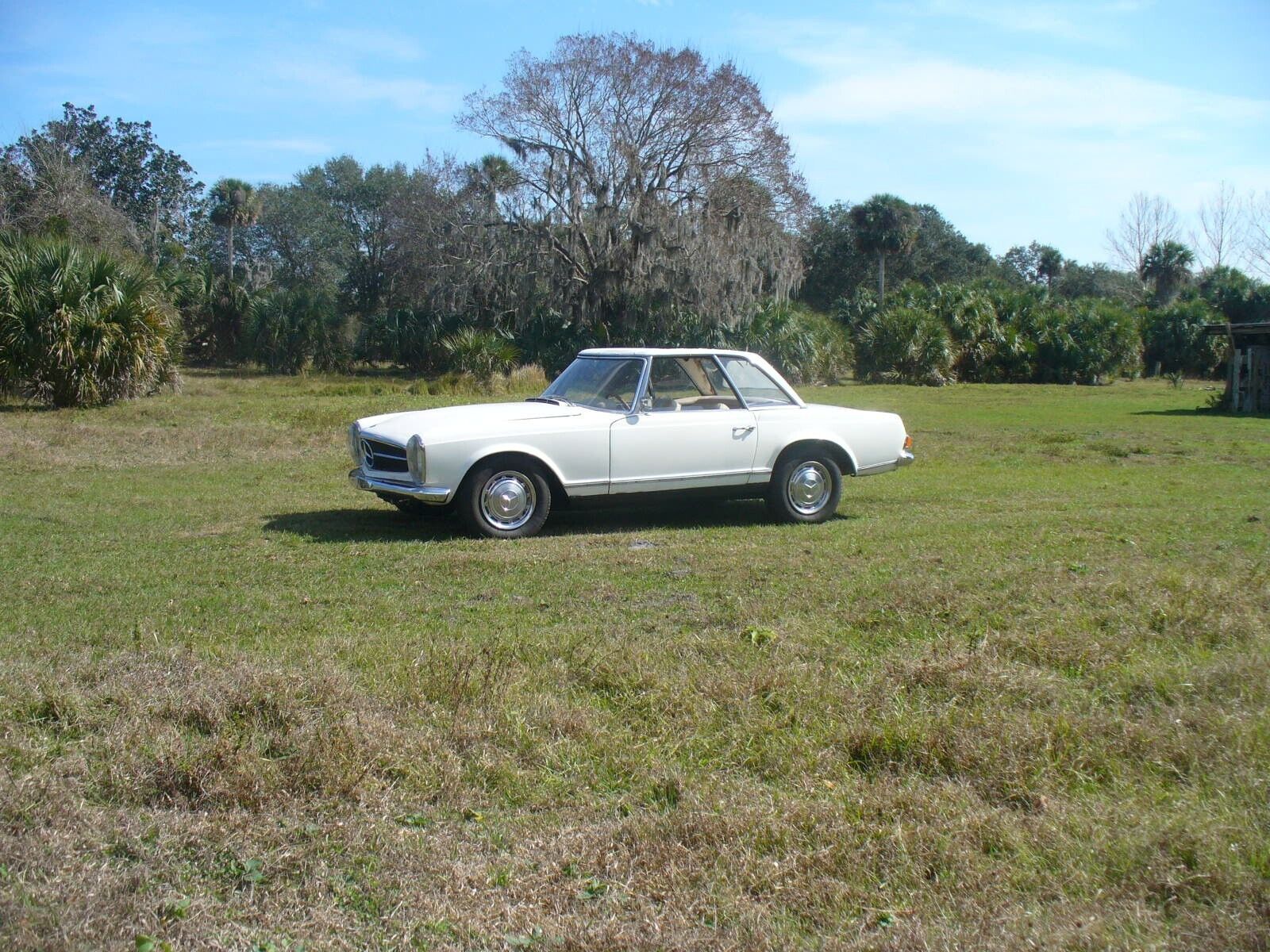 Mercedes-Benz-SL-Class-Cabriolet-1965-16153-19