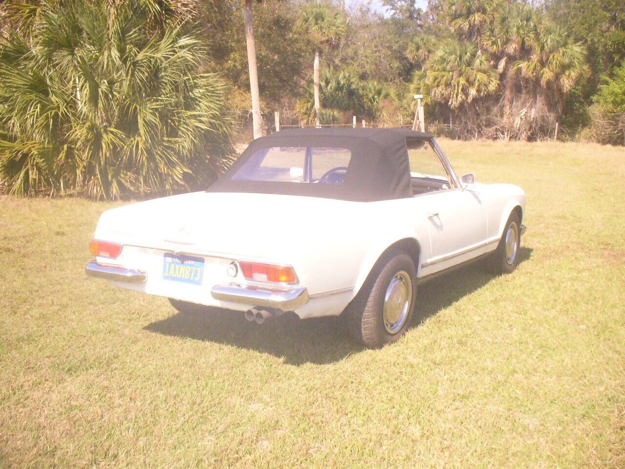 Mercedes-Benz-SL-Class-Cabriolet-1965-16153-23