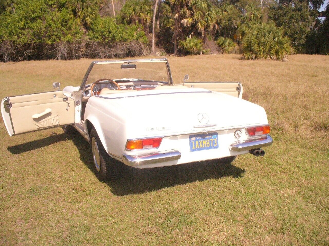 Mercedes-Benz-SL-Class-Cabriolet-1965-16153-4