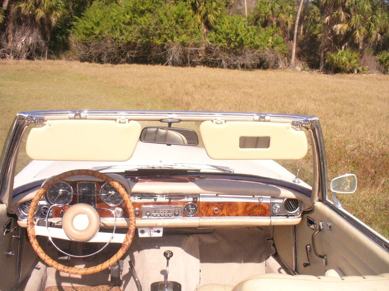 Mercedes-Benz-SL-Class-Cabriolet-1965-16153-5