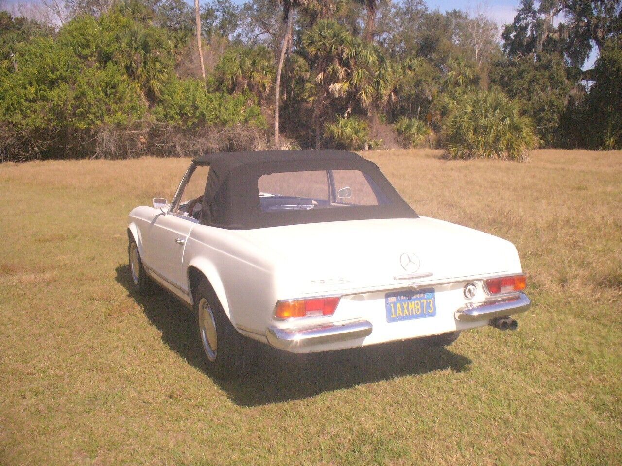 Mercedes-Benz-SL-Class-Cabriolet-1965-16153-6