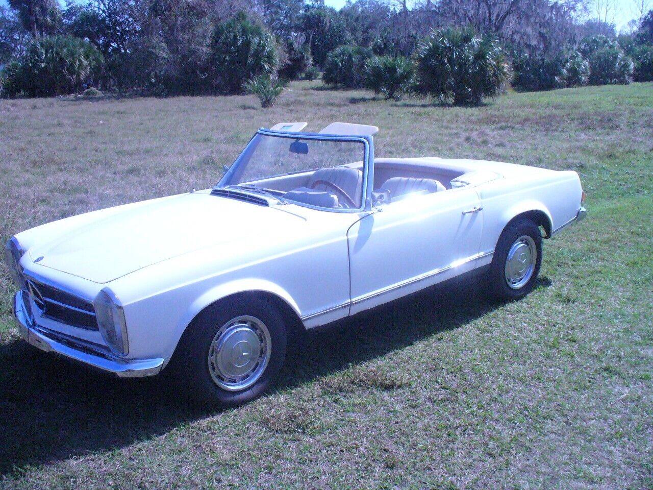 Mercedes-Benz-SL-Class-Cabriolet-1965-16153-8