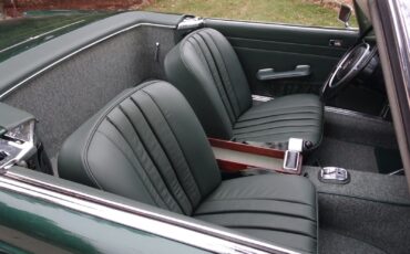 Mercedes-Benz-SL-Class-Cabriolet-1968-Green-Green-107554-16