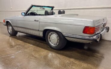 Mercedes-Benz-SL-Class-Cabriolet-1972-Gray-Black-154616-2