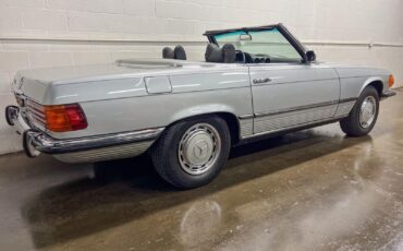 Mercedes-Benz-SL-Class-Cabriolet-1972-Gray-Black-154616-20