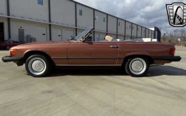 Mercedes-Benz-SL-Class-Cabriolet-1979-Brown-Tan-182002-3