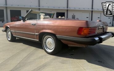 Mercedes-Benz-SL-Class-Cabriolet-1979-Brown-Tan-182002-4