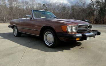 Mercedes-Benz-SL-Class-Cabriolet-1979-Brown-Tan-182002-5