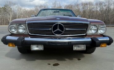 Mercedes-Benz-SL-Class-Cabriolet-1979-Brown-Tan-182002-6