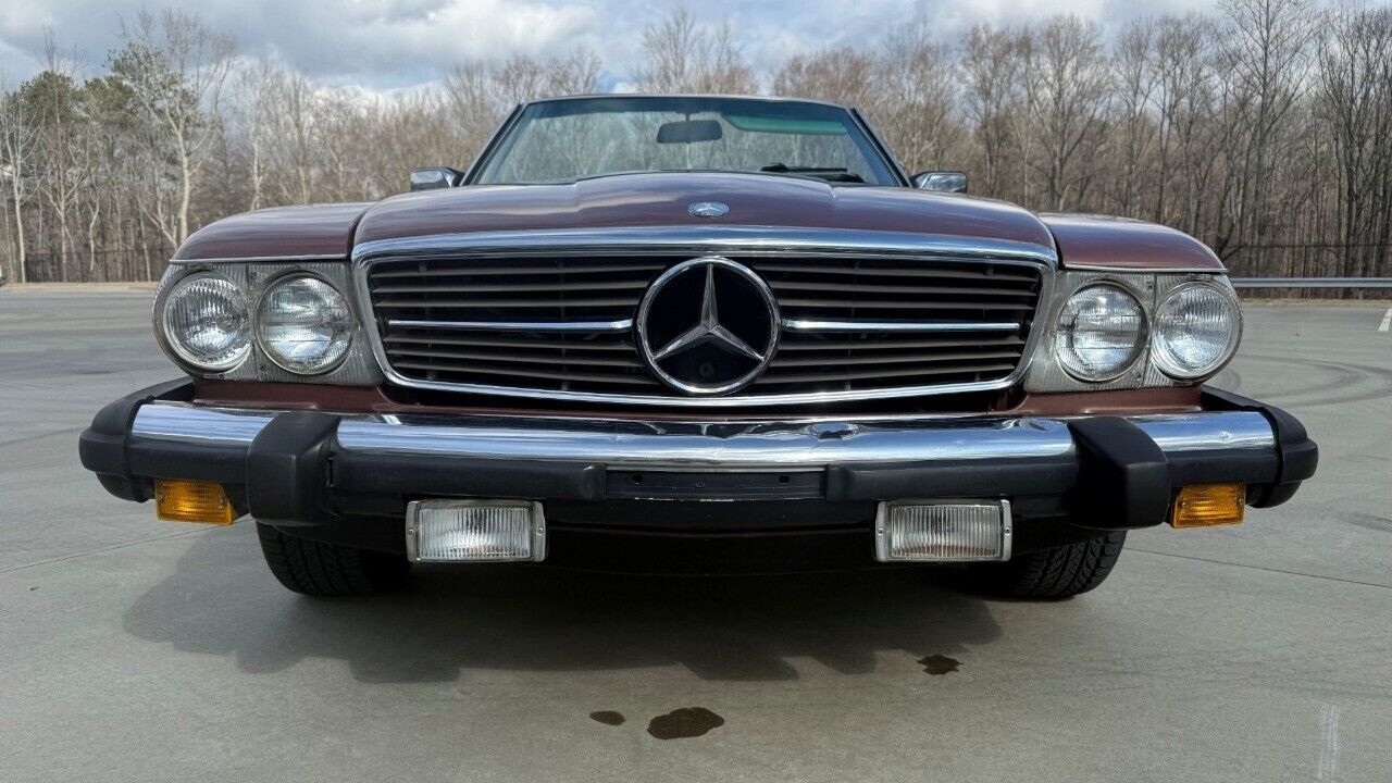 Mercedes-Benz-SL-Class-Cabriolet-1979-Brown-Tan-182002-6